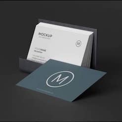 Standard Laminated Business Card